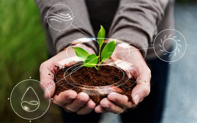 Bioeconomia circular y sostenibilidad